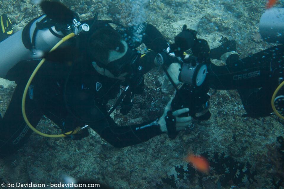 BD-150423-Maldives-7824-Homo-sapiens.-Linnaeus.-1758-[Diver].jpg